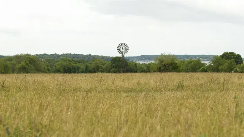 Moonrise Kingdom - Fondo
