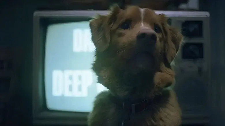 Good Boy - Fondo