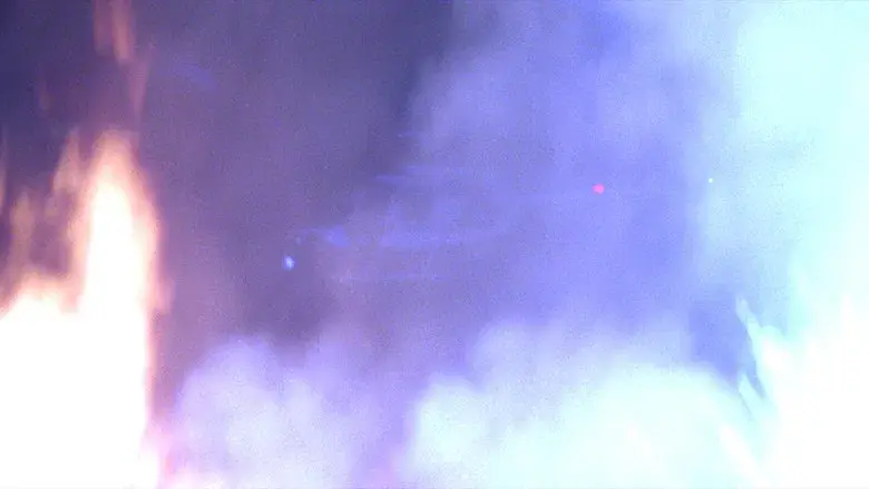 Están vivos - Fondo