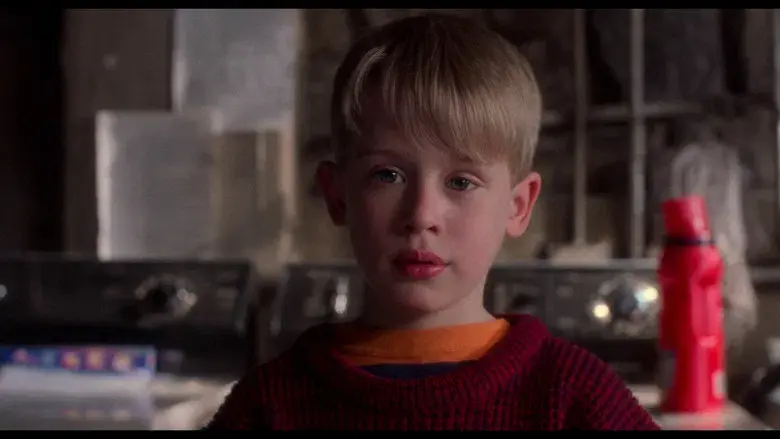 Solo en casa - Fondo