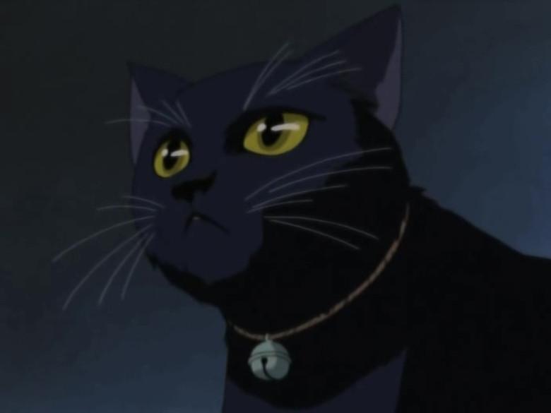 Episodio 8