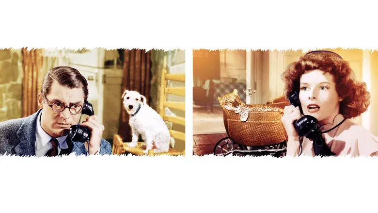 La fiera de mi niña - Fondo