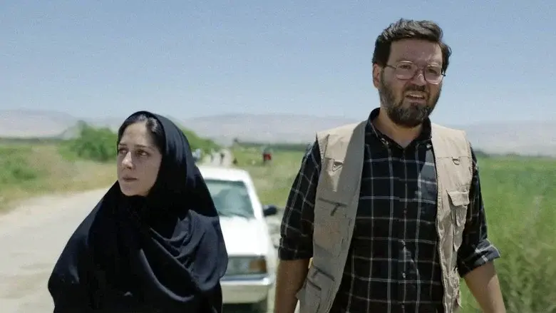 Araña sagrada - Fondo