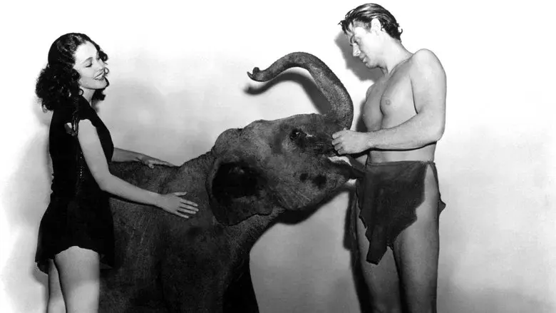 Tarzán y su hijo - Fondo