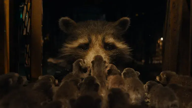 Guardianes de la Galaxia: Volumen 3 - Fondo