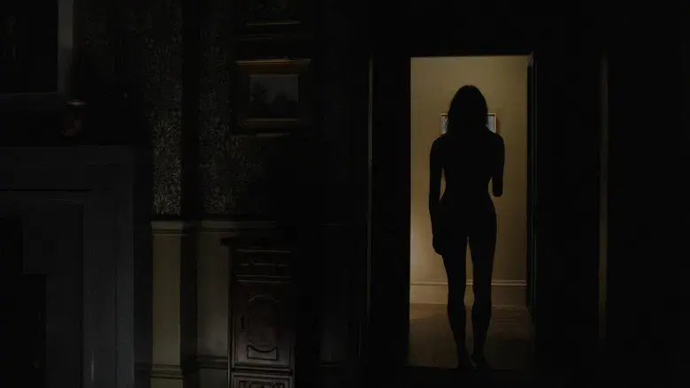 Los sudarios - Fondo