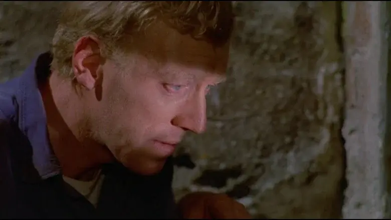 El visitante nocturno - Fondo