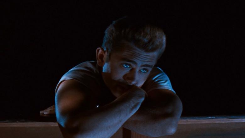 Rebelde sin causa - Fondo