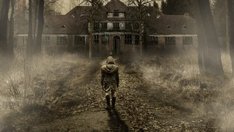 El manicomio: la cuna del terror - Fondo