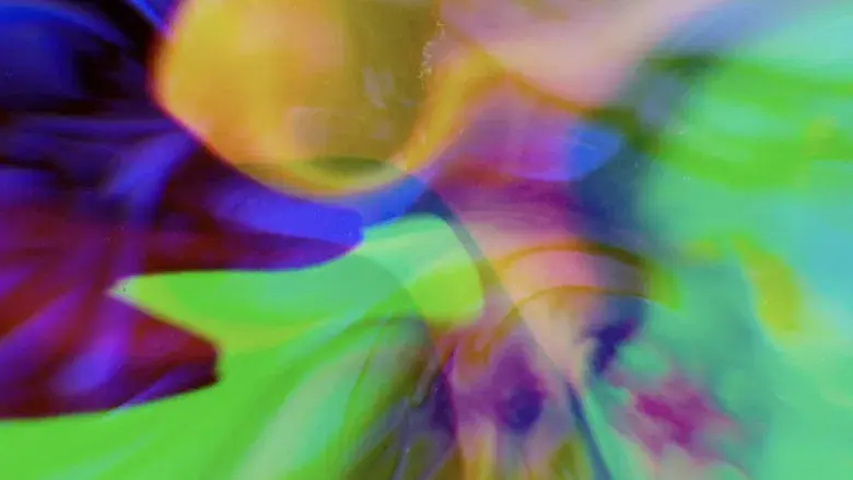 Dos chicas a la fuga - Fondo