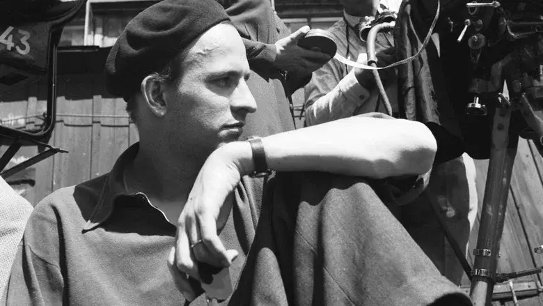 Bergman: su gran año - Fondo