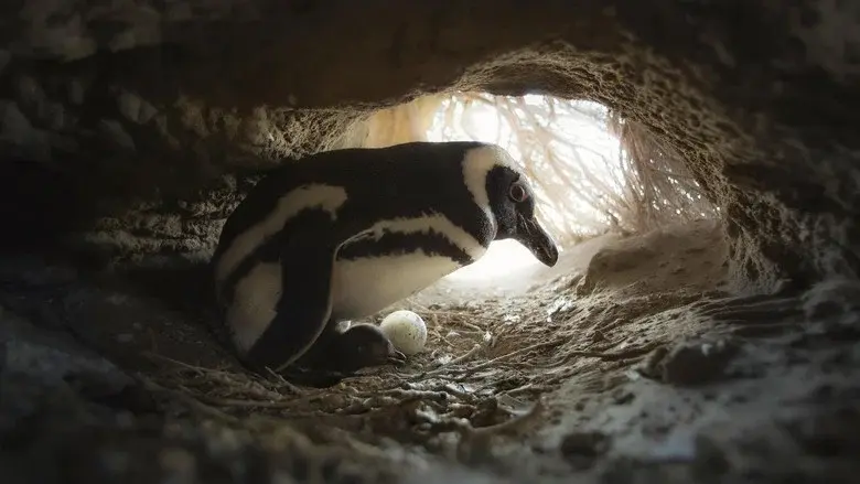 La supervivencia del más listo