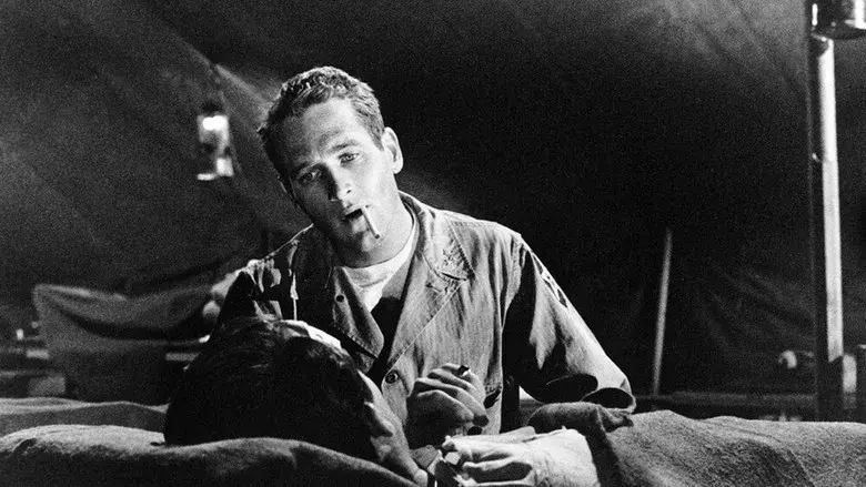 La ciudad frente a mí - Fondo