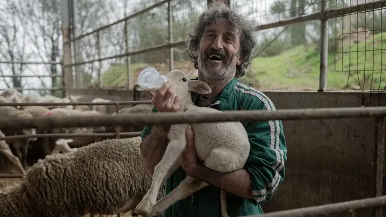 Animal - Fondo