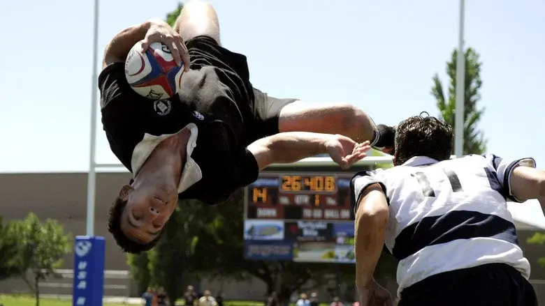 Siempre fuertes - Fondo