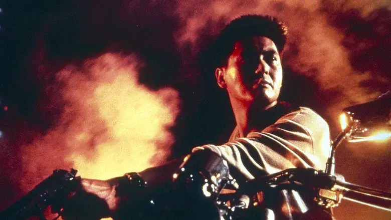 Full Contact - Backdrop