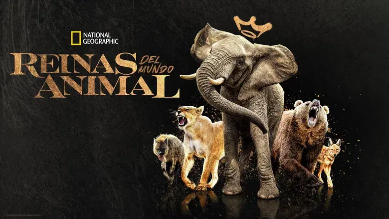 Reinas del mundo salvaje - Fondo