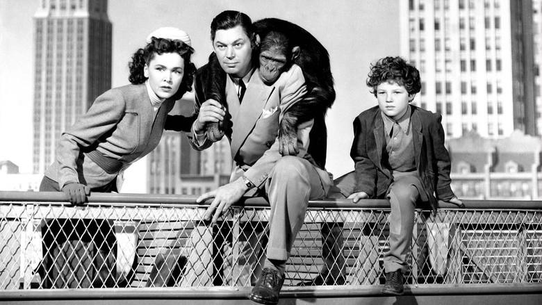 Tarzán en Nueva York - Fondo