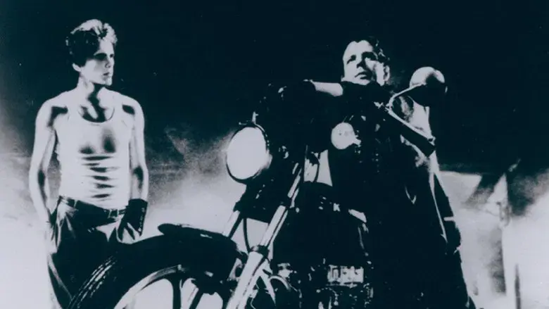 La ley de la calle - Fondo