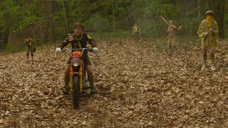 Moonrise Kingdom - Fondo