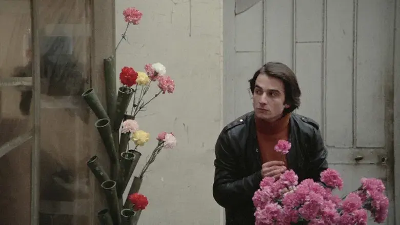 Domicilio conyugal - Fondo