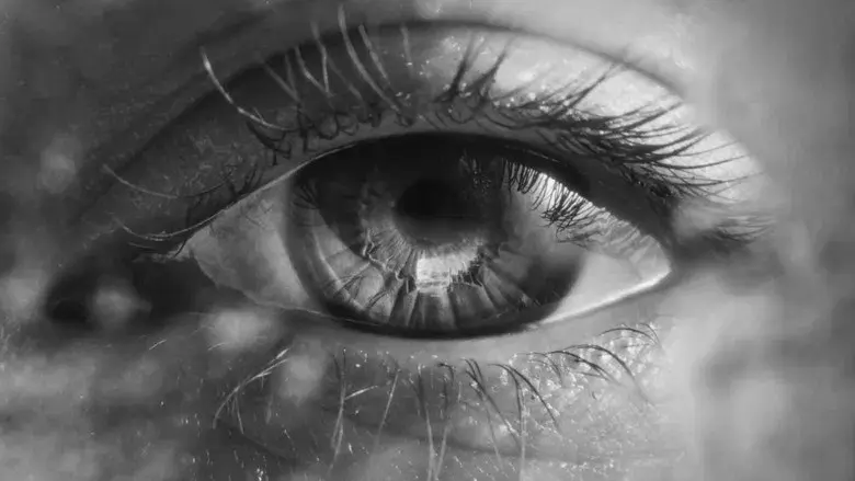 La chica de la aguja - Fondo