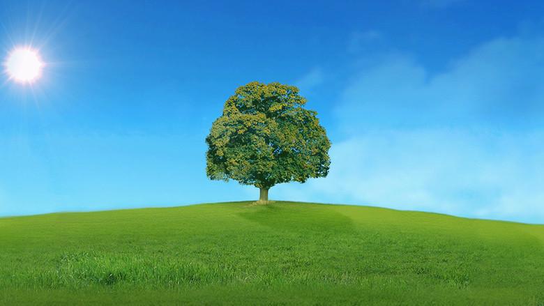 Who Do You Think You Are? - Fondo