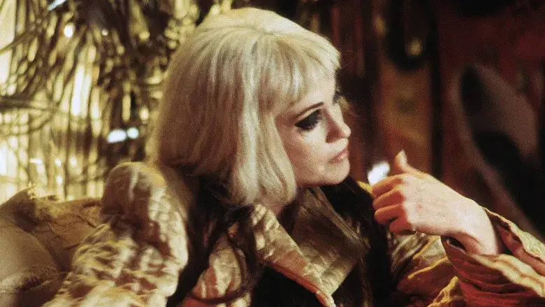 Cecil B. Demente - Fondo