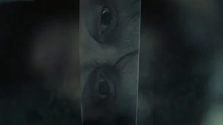 Return to Silent Hill - Fondo