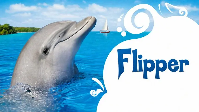 Flipper - Fondo