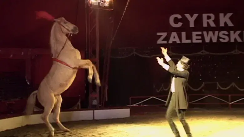 Inland Empire - Fondo