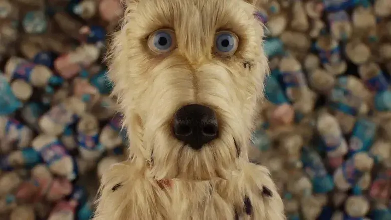 Isla de perros - Fondo