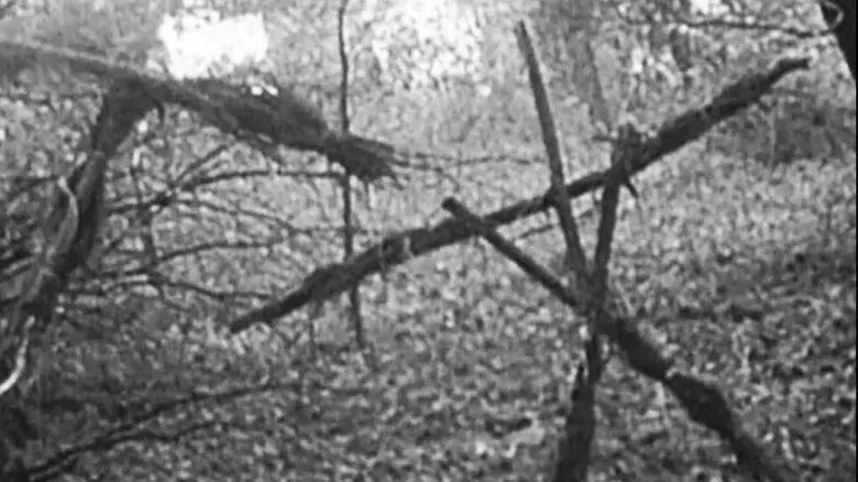 El proyecto de la bruja de Blair - Fondo