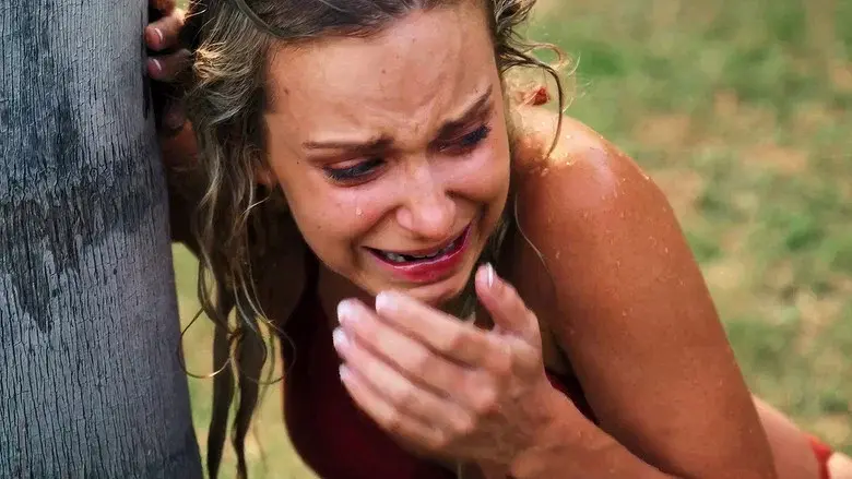 Shark Warning - Fondo