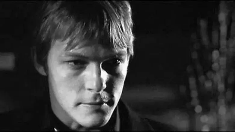 Rabia Salvaje - Fondo