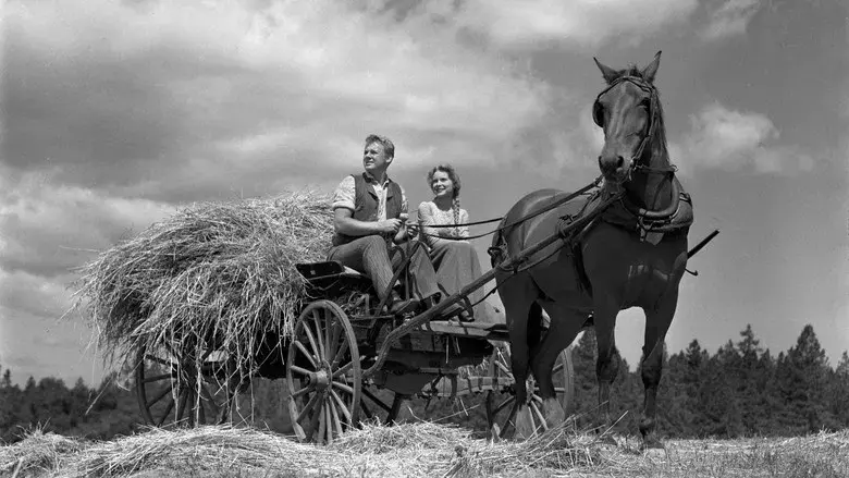 The Romance of Rosy Ridge - Backdrop