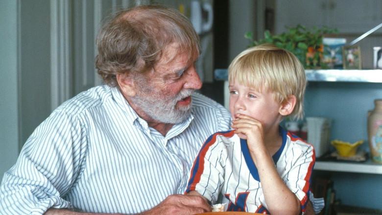 Rocket Gibraltar - Backdrop