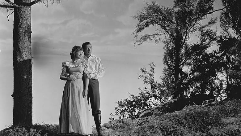 Roaring Guns - Fondo