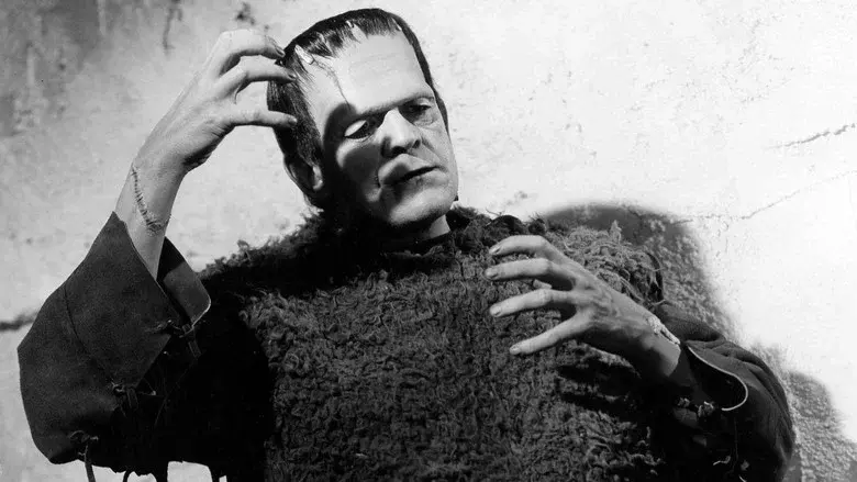 La sombra de Frankenstein - Fondo