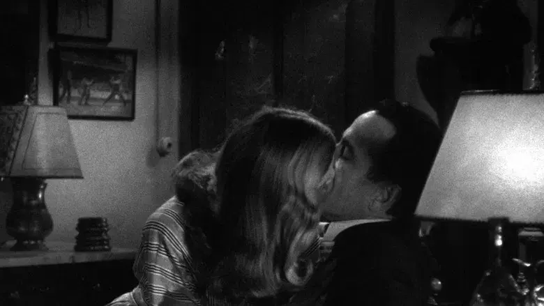 Tener y no tener - Fondo