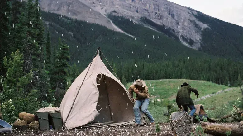 Brokeback Mountain: En terreno vedado - Fondo