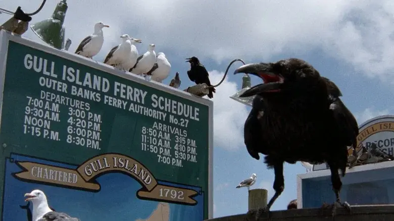 Los Pájaros 2: En el fin del mundo - Fondo