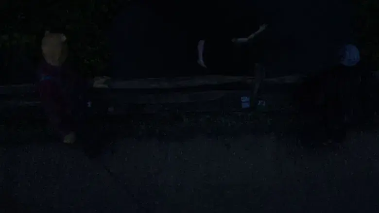 Winnie the Pooh 2: El bosque sangriento - Fondo