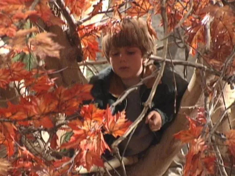 Cuando Hay Voluntad Hay un Camino