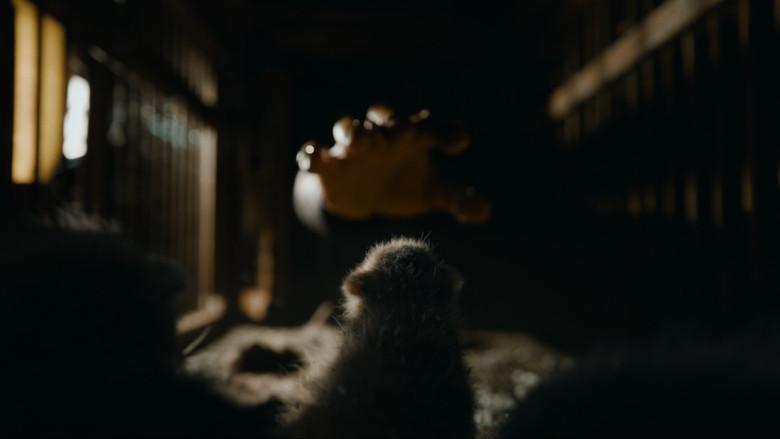 Guardianes de la Galaxia: Volumen 3 - Fondo