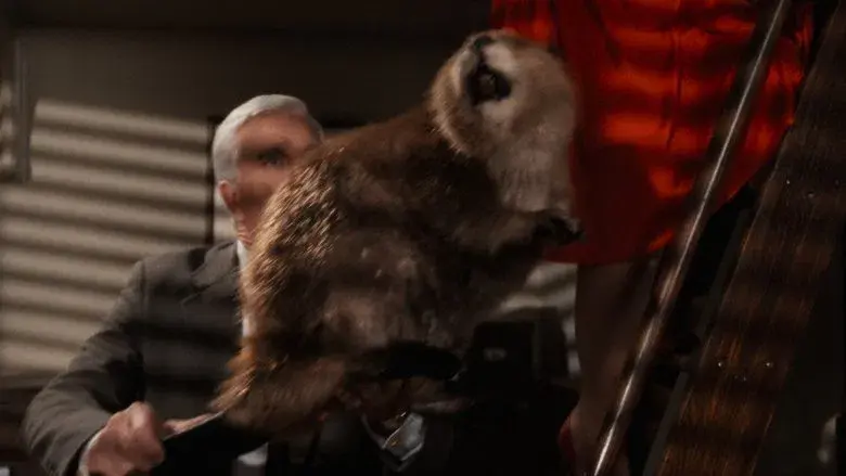 Agárralo como puedas - Fondo