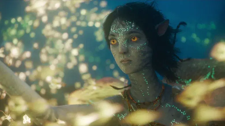 Avatar: El sentido del agua - Fondo