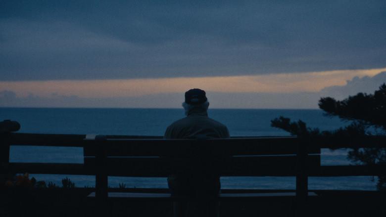 The Strawberry - Fondo