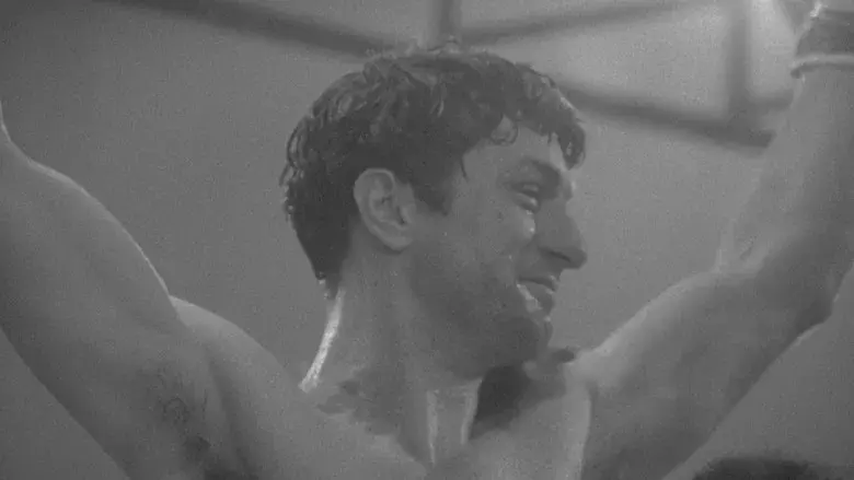 Toro salvaje - Fondo