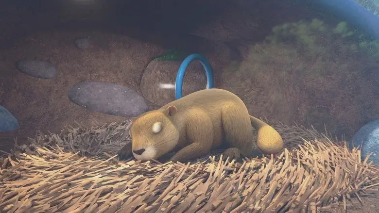 El día de la Marmota